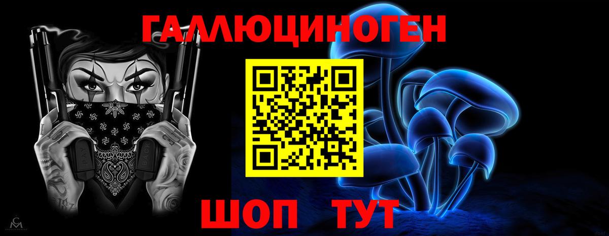 Ухта  Псилоцибиновые грибы Psilocybine cubensis  Вход с VPN 